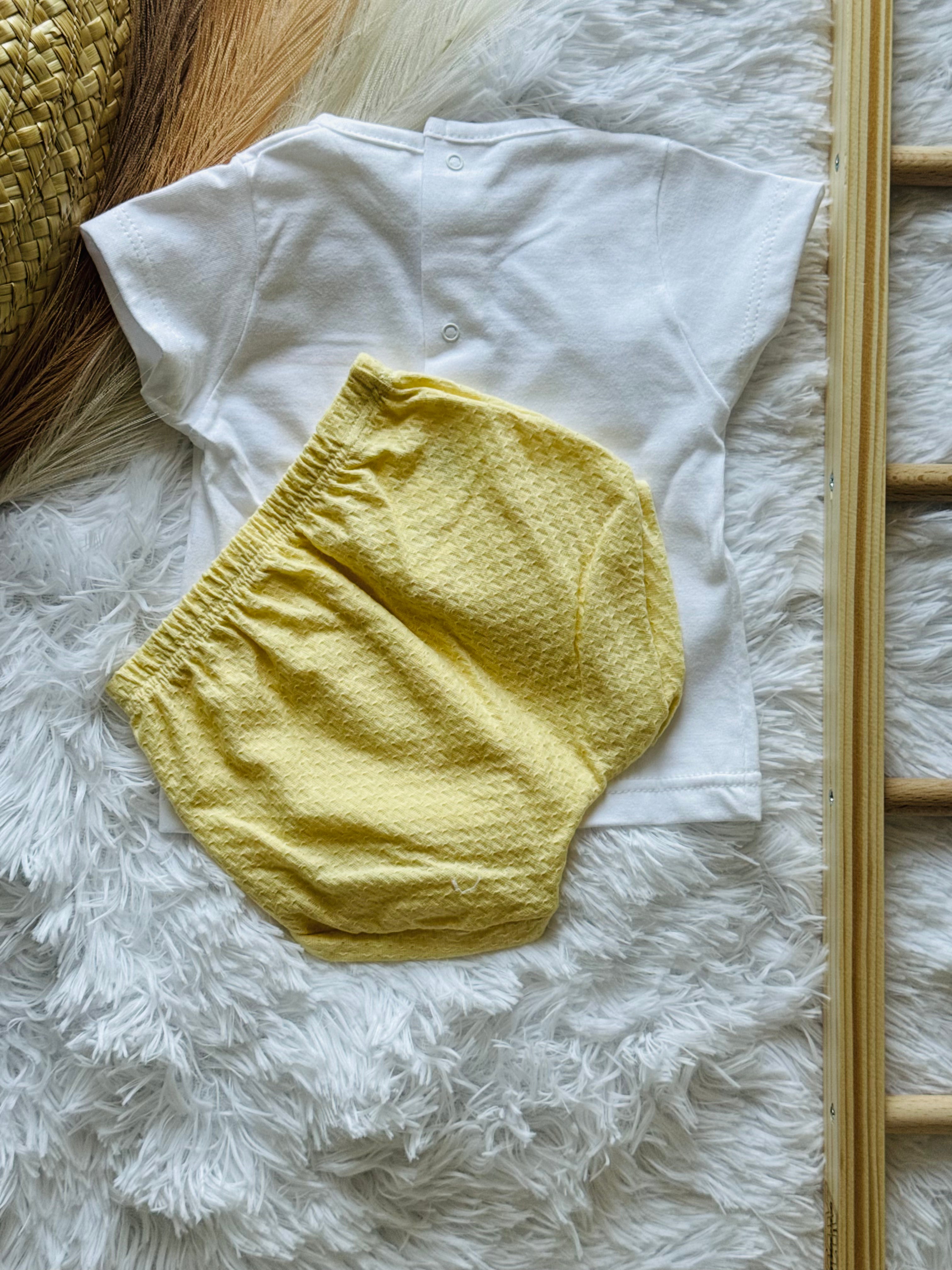 T-shirt e calções da Calamaro